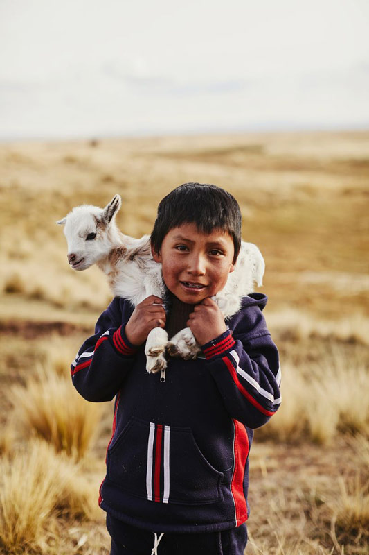 A boy holds a baby goat on his shoulders