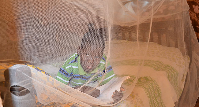 Child laying in bed with a mosquito net