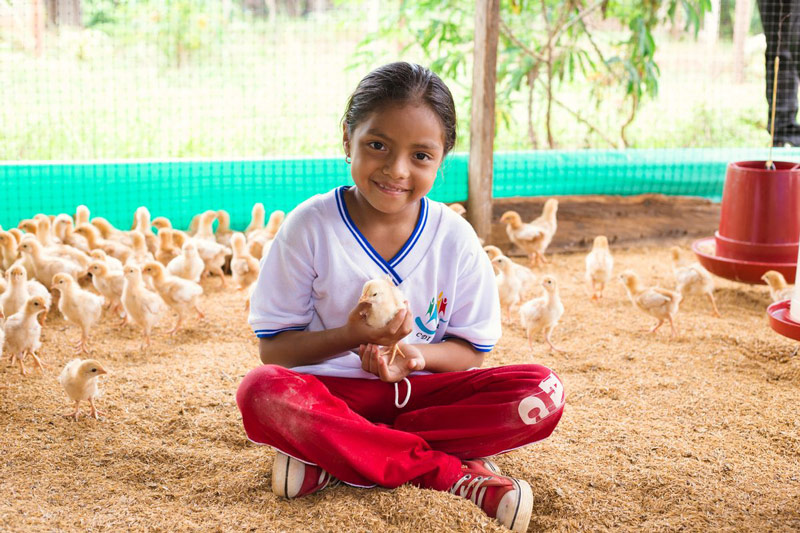 A girl sits in a chicken pen holding a chick in her hand