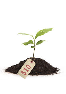 garden-seeds-255x360.jpg