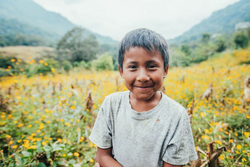 A boy smiles in a field of yellow flowers