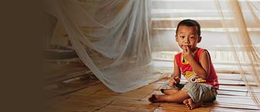 A young boy sitting under a malaria net