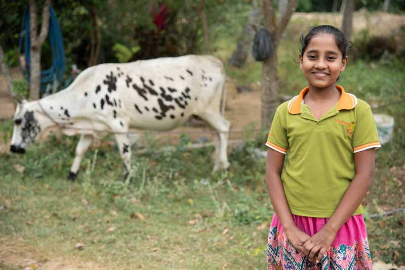 A girl standing in a field near a cow