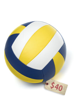 volleyballs-255x360.jpg