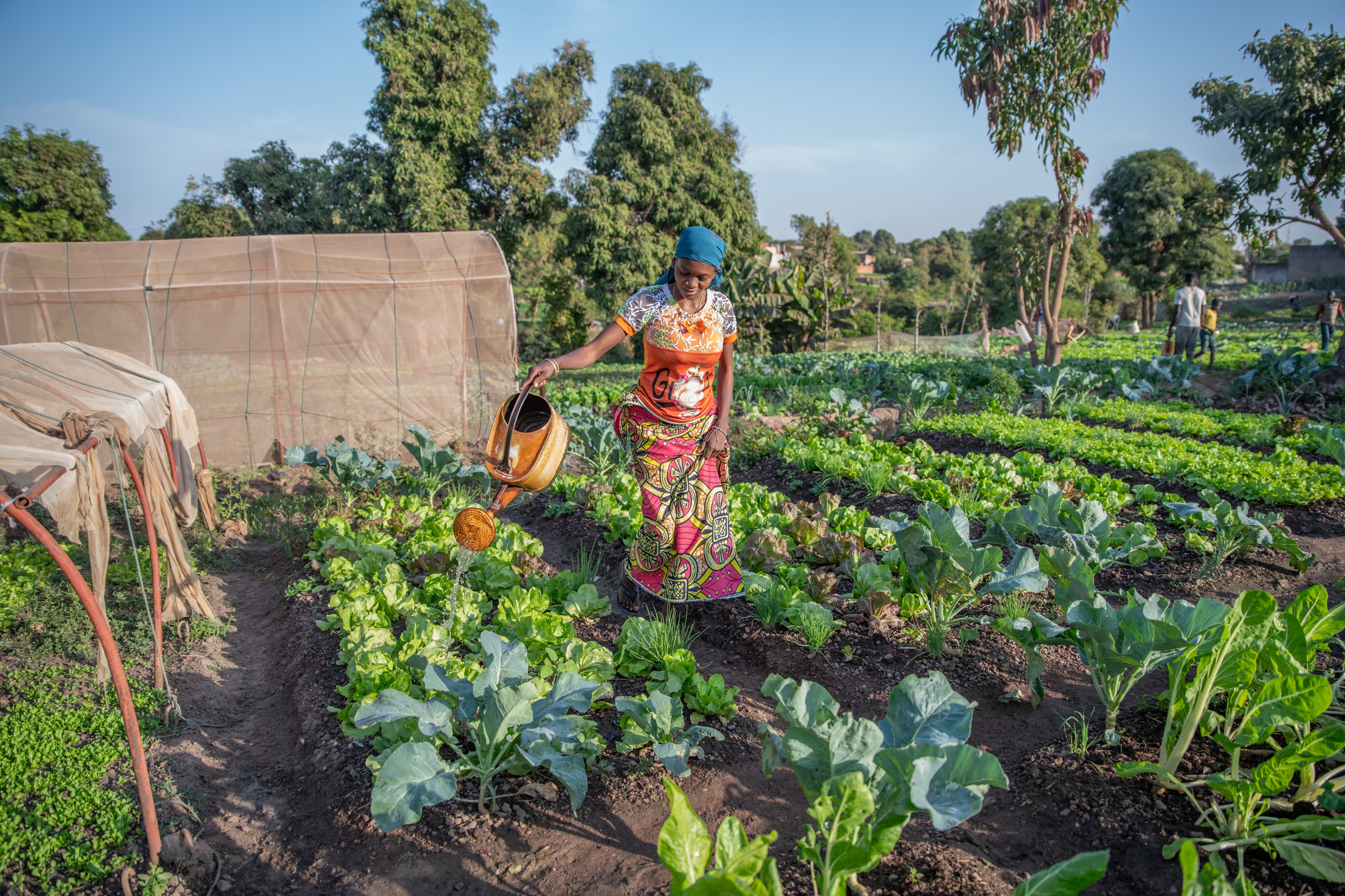 A young woman dressed in a colorful dress waters bright green plants in a garden.