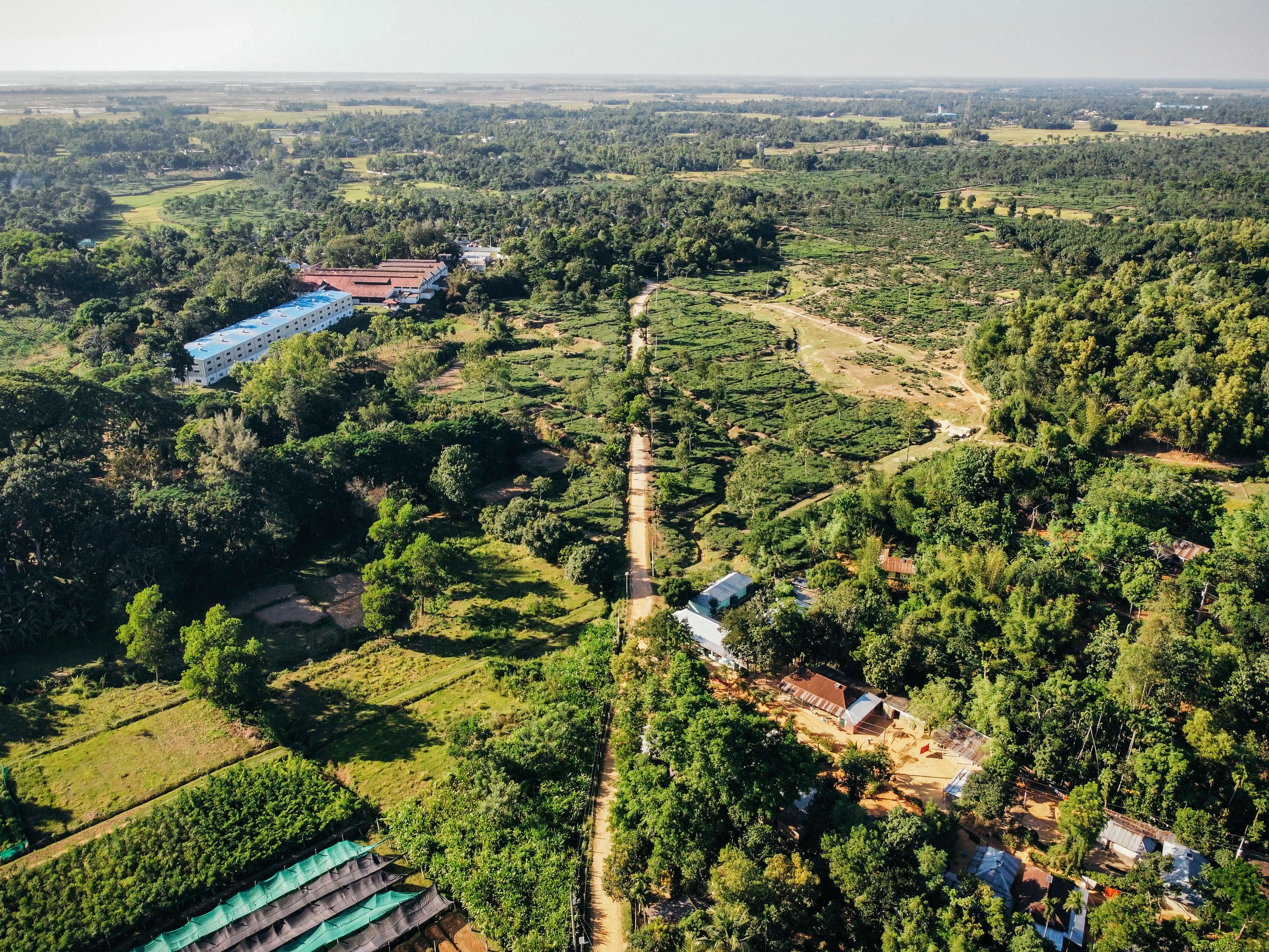 A lush green landscape from above featuring buildings and dirt roads.