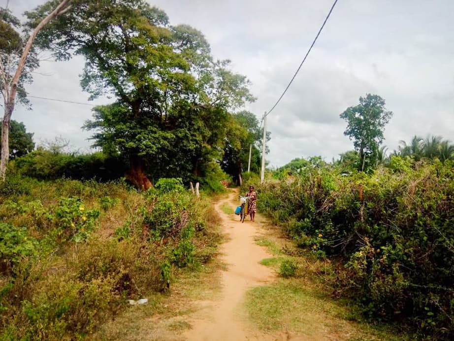 A woman with a bike stands in the distance on a path surrounded by lush green trees and shrubs.