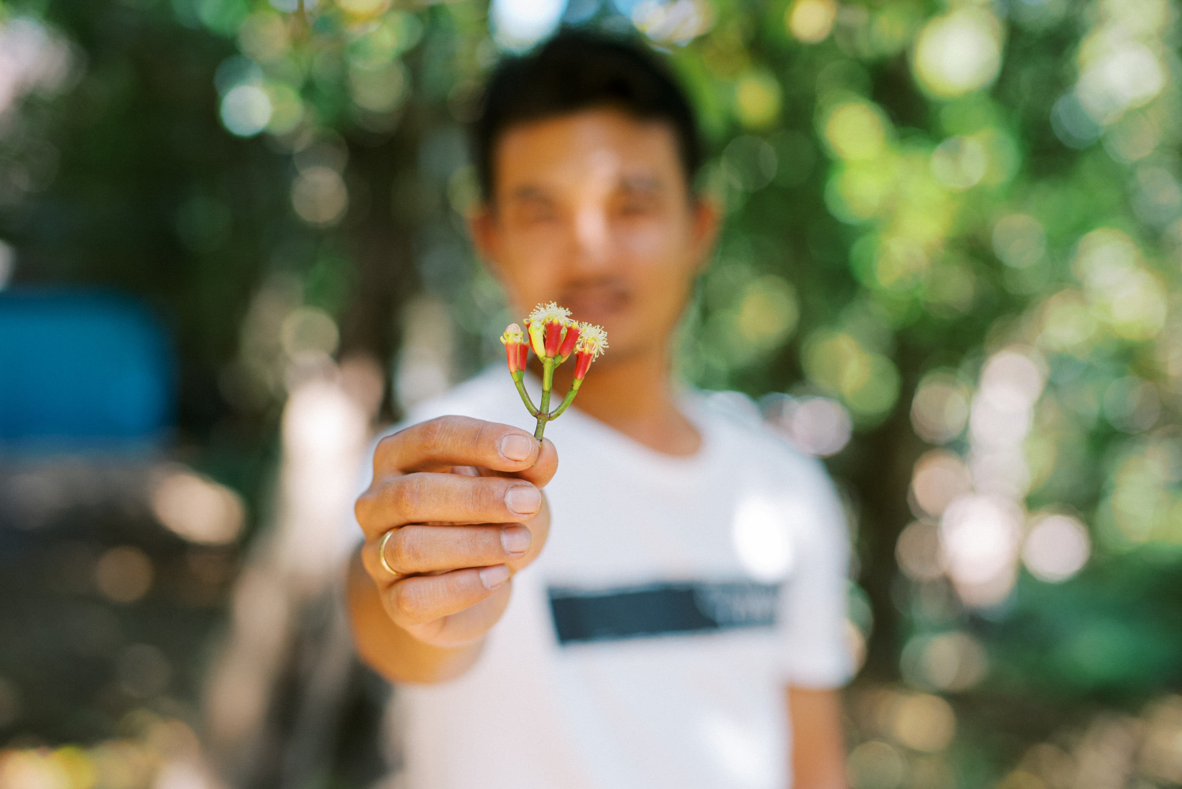 A young man is blurred while holding a flower in his hand.