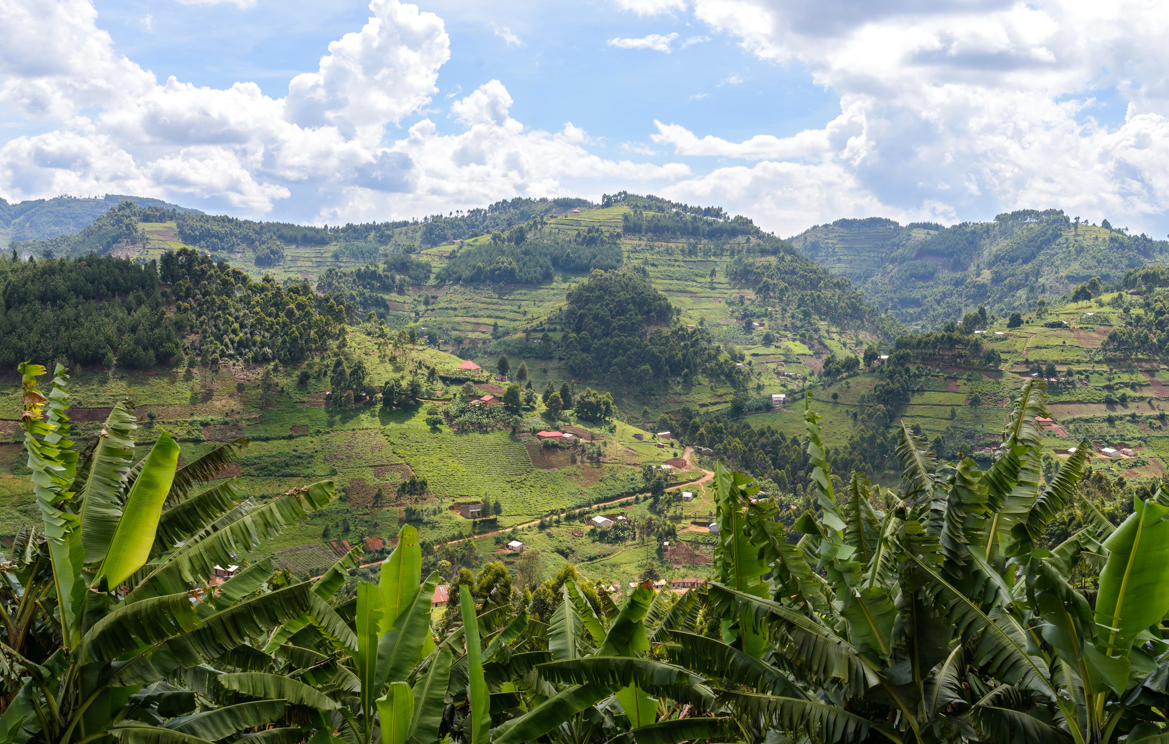 A lush green landscape with trees and fills in front of a blue cloud-filled sky.