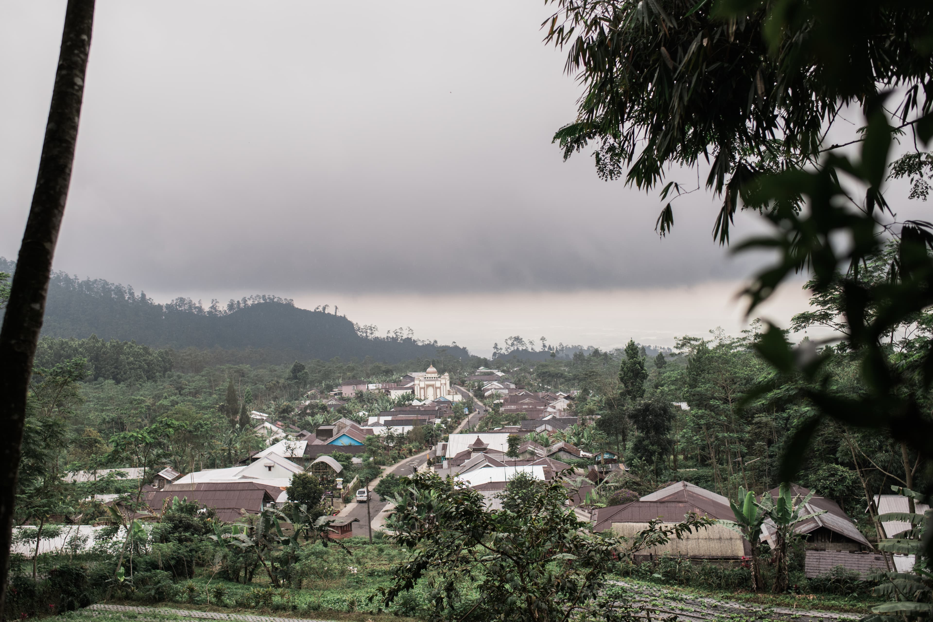 A landscape shows homes amid trees with a storm cloud in the background.