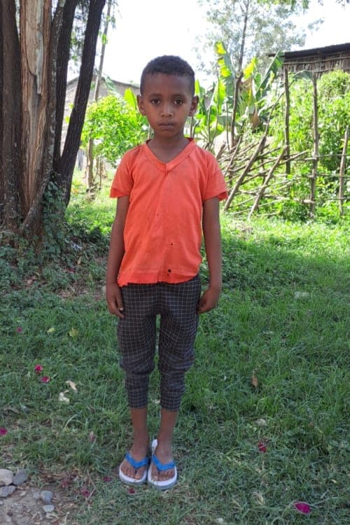 A picture of Mintesinot