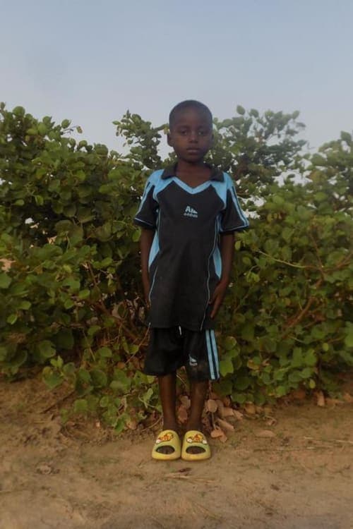 A picture of Pindgwende