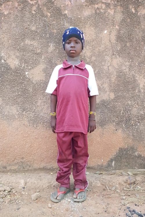 A picture of Pegwende