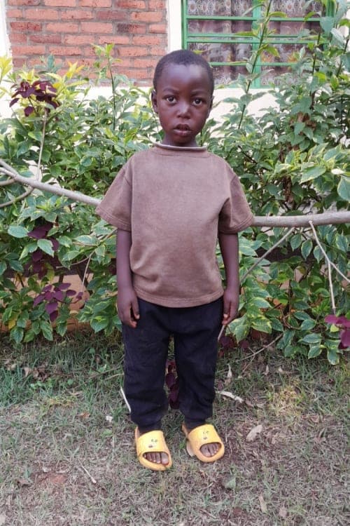 A picture of Pelaris