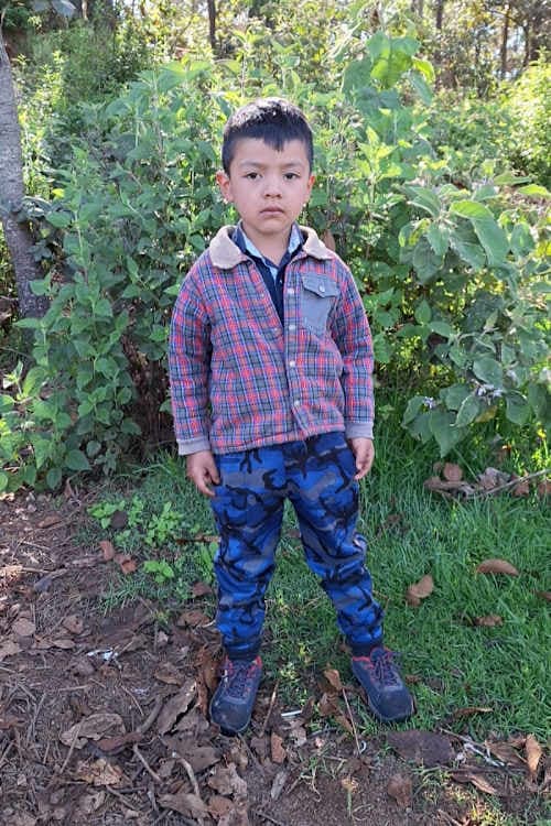 A picture of Domingo