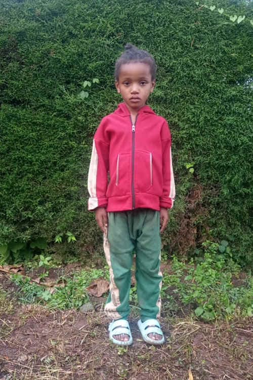 A picture of Meskerem