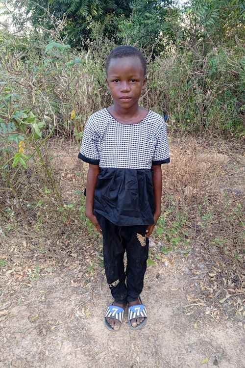 A picture of Neimata