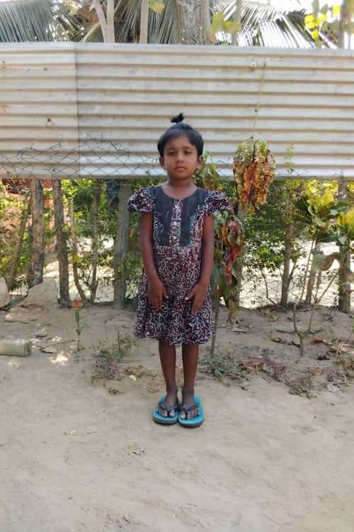 A picture of Vinsala