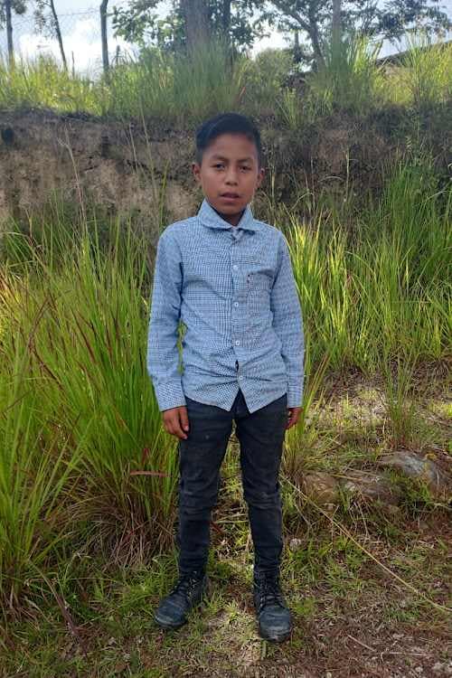 A picture of Alexander