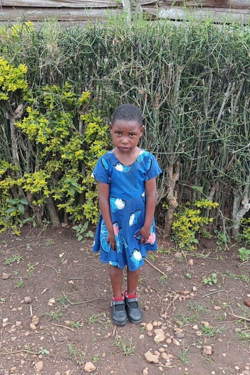 A picture of Shillet