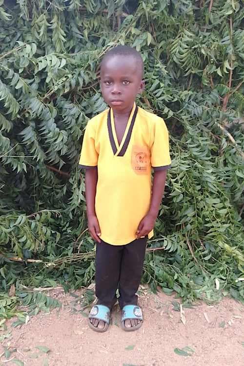 A picture of Sylvestre