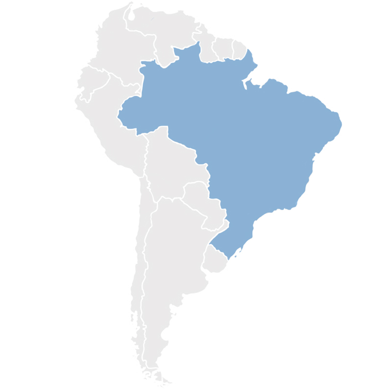 Gray map of South America with Brazil in blue