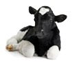 cows-105x90.jpg