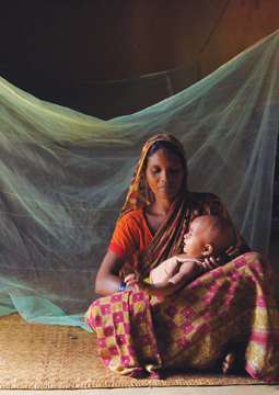 csp-survive-poverty-255x360.jpg