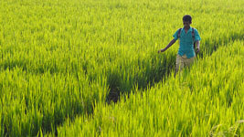 Bangladesh: A day with Dipu