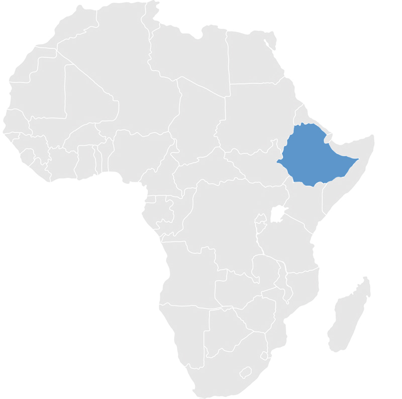 Gray map of Africa with Ethiopia in blue