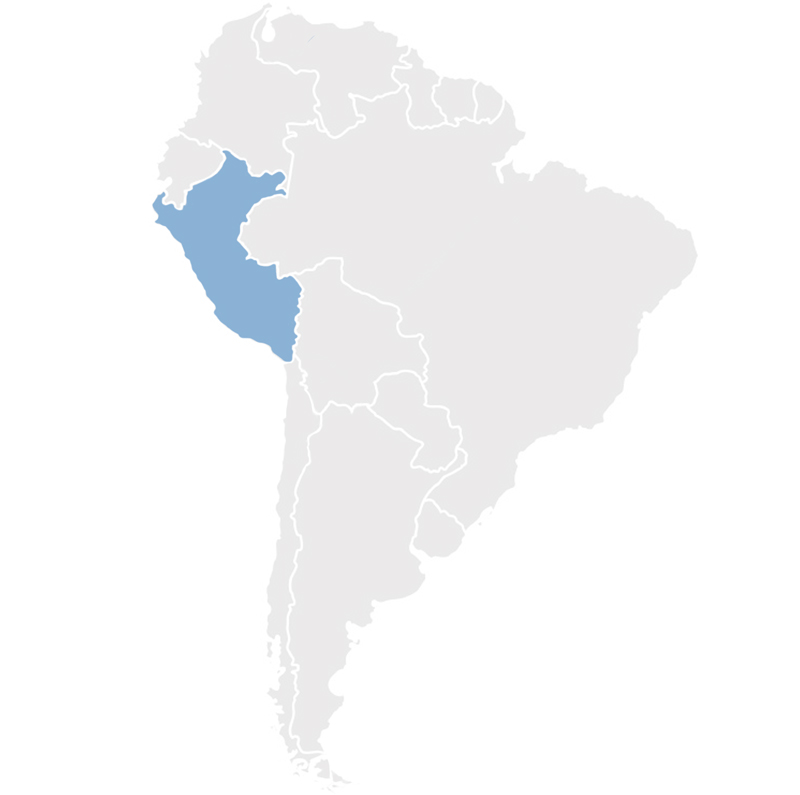 Gray map of South America with Peru in blue