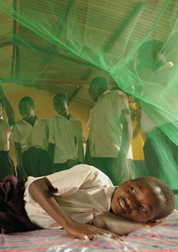 protect-a-child-from-malaria-255x360.jpg