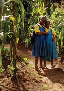 provide-garden-seeds-for-a-family-in-africa-255x360.jpg
