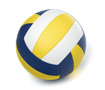 volleyballs-105x90.jpg