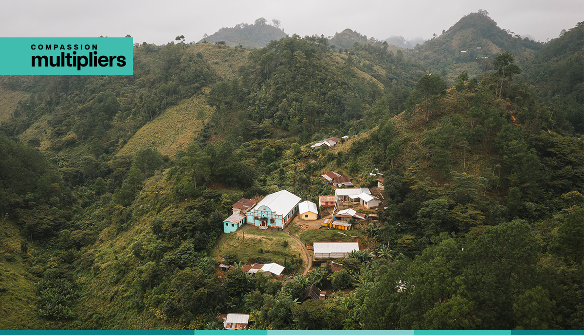 Compassion Multipliers