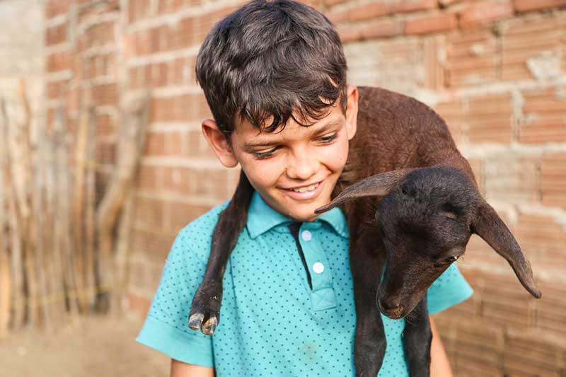 A young boy smiles at a goat sitting on his shoulders