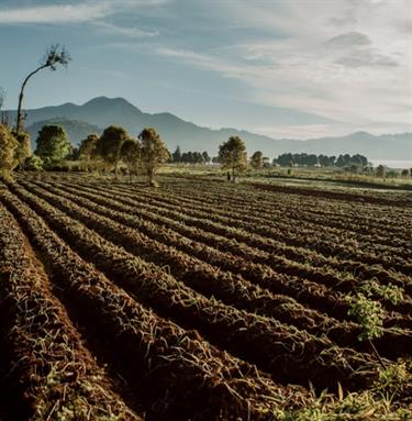 Climate Resilience and Sustainability