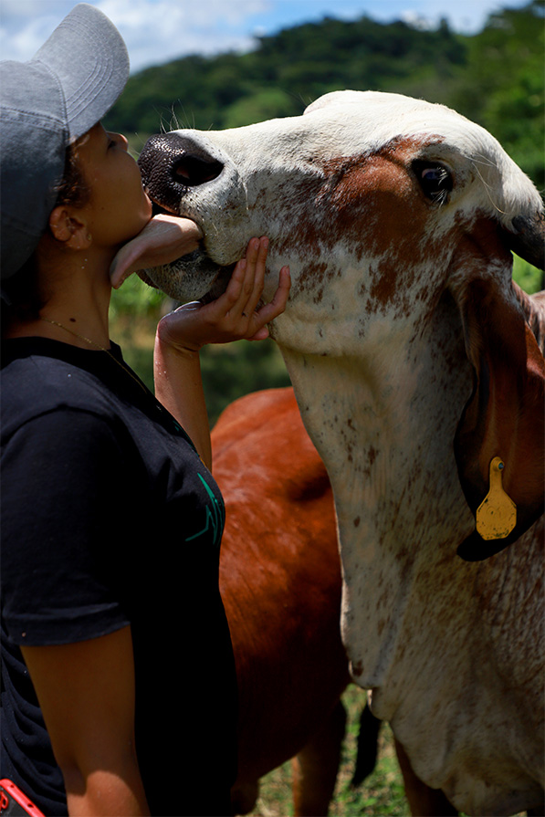 Karina is licked by one of her cows