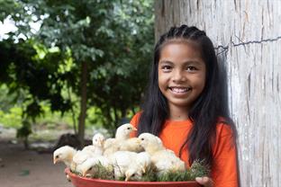 a girl holds baby chicks