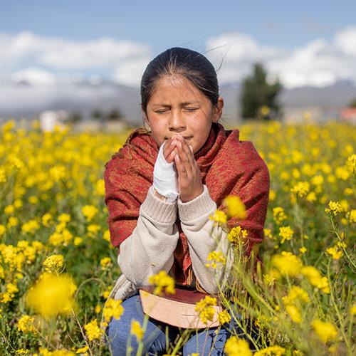 a girl prays in a field of flowers
