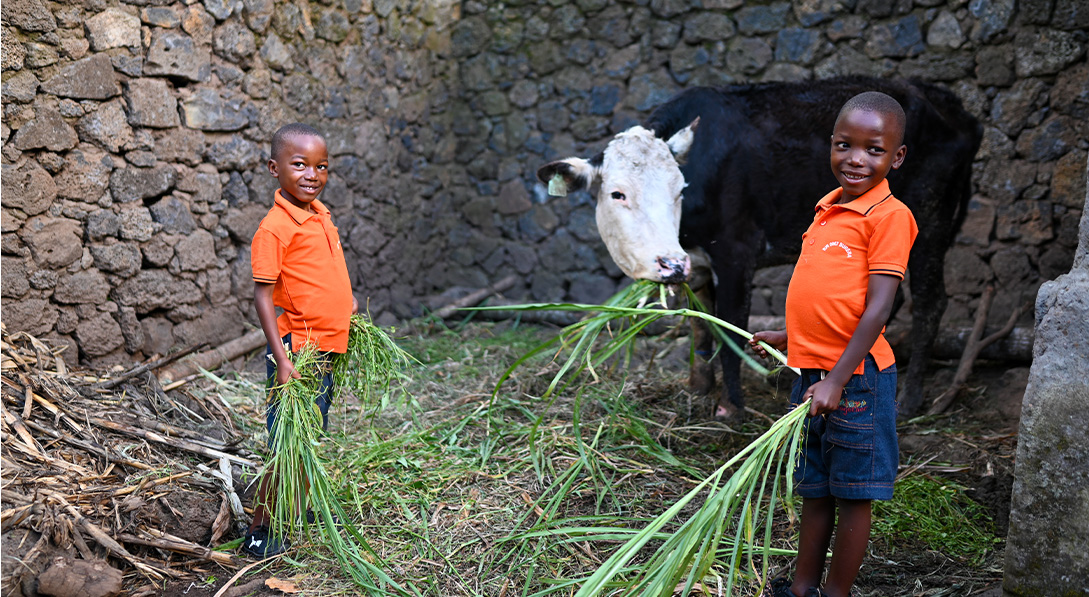 Twins hold grass while standing by cow
