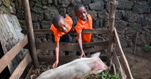 Twins smile as they pet a pig
