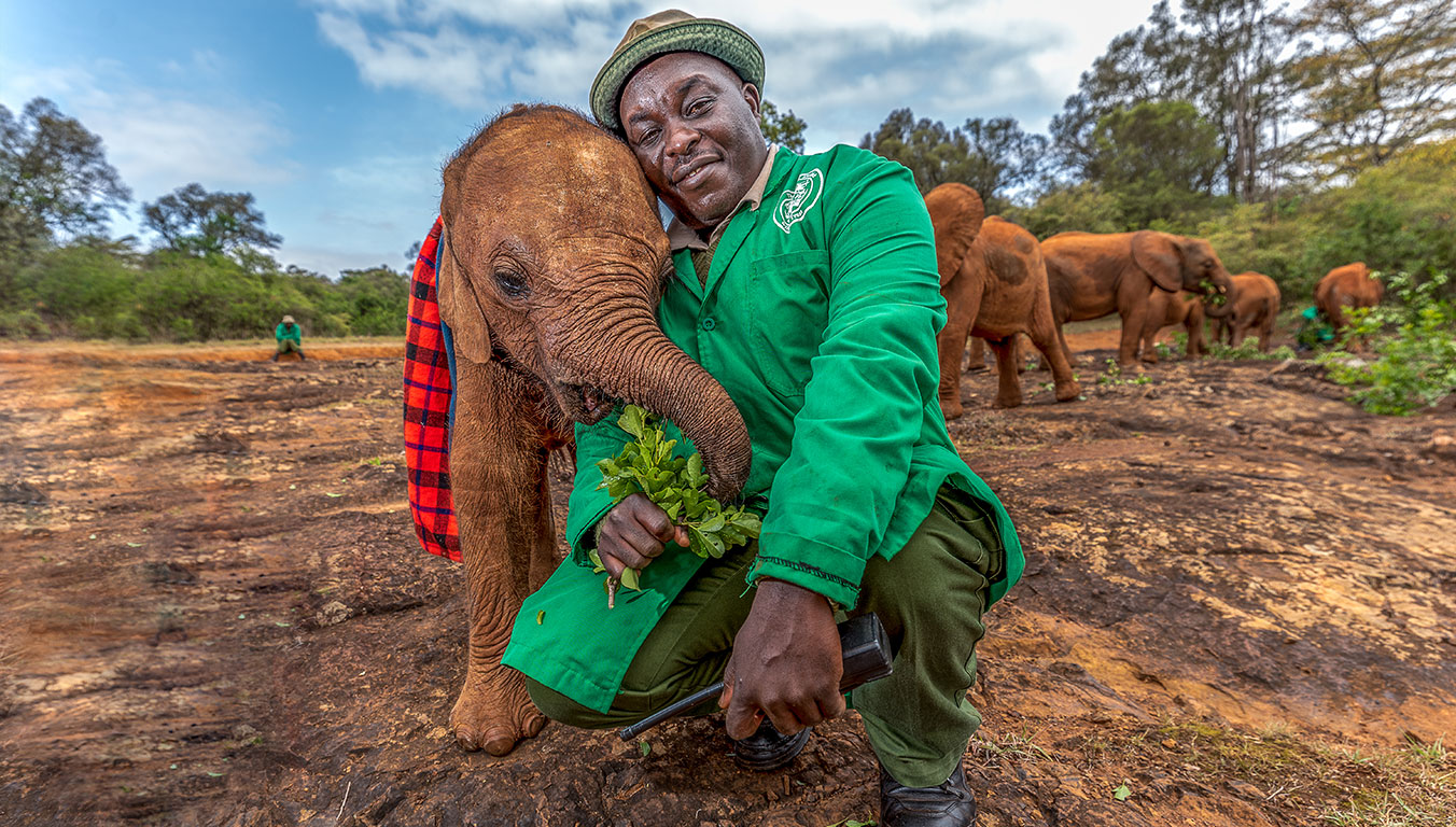 Edwin cares for baby elephants that come to the Sheldrick Wildlife Trust as orphans