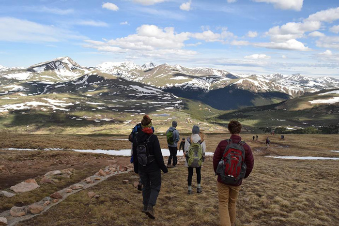 A group of interns hiking