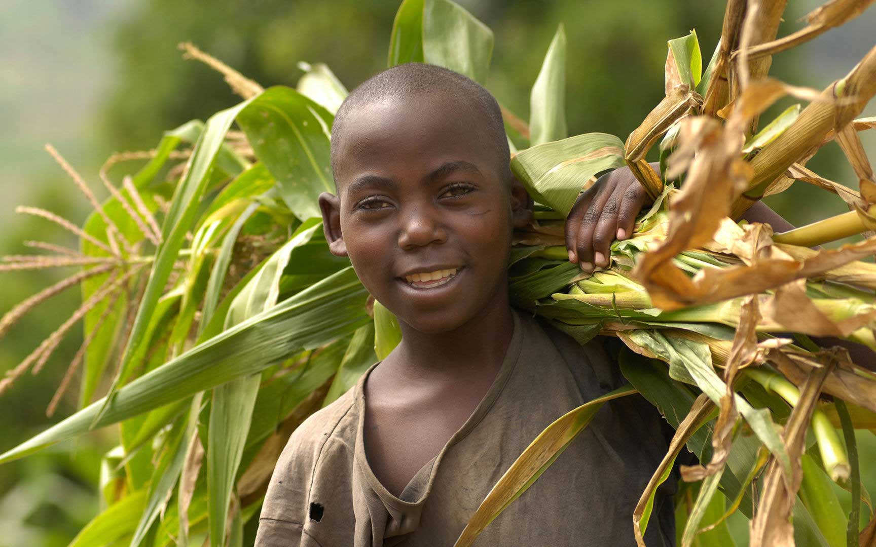 A Compassion sponsored boy helps his family by working in the field