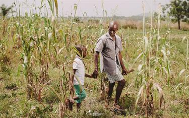 Laurent and Bamely walk through a corn field
