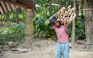 Sujit carries a load of wood