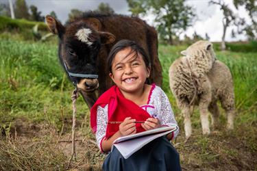 7-year-old Lizbeth watches her family's livestock