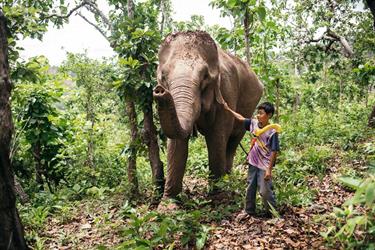 Pawaret stands next to his family’s elephant, Onawari.