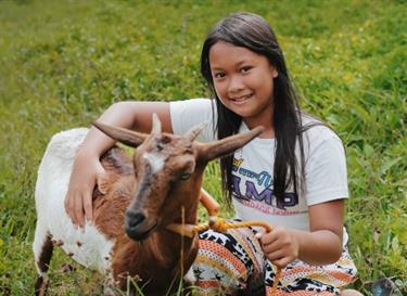 Provide a family in need a goat for income generation